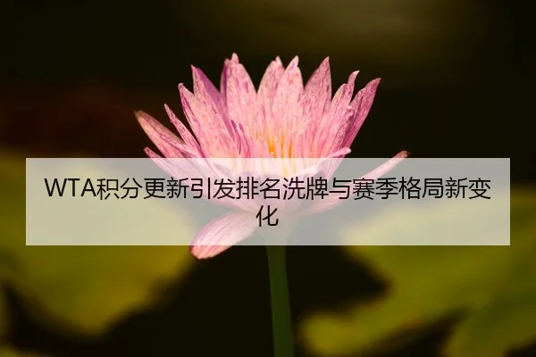 WTA积分更新引发排名洗牌与赛季格局新变化
